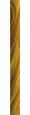 Safari 2026 Wood (P)