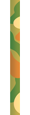 Safari 2026 (P)