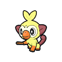 Grookey
