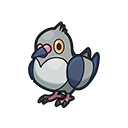 Pidove