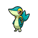 Snivy