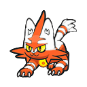 Torracat