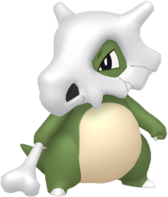 Cubone