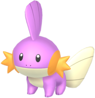 Mudkip