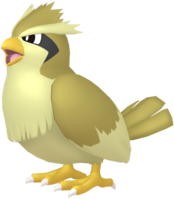 Pidgey