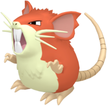 Raticate