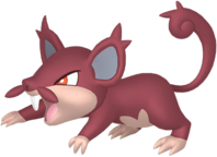 Alolan Rattata