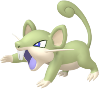 Rattata