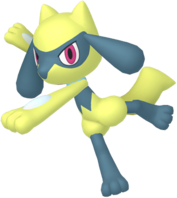 Riolu