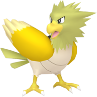 Spearow