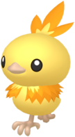 Torchic